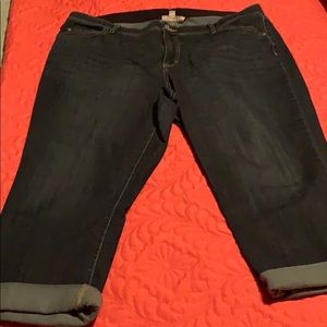 EVRI Women’s Capris